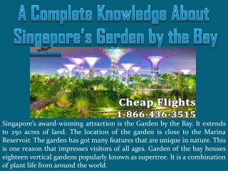 A Complete Knowledge About Singapore’s Garden by the Bay