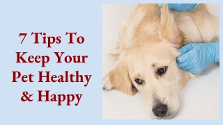 7 Tips To Keep Your Pet Healthy & Happy