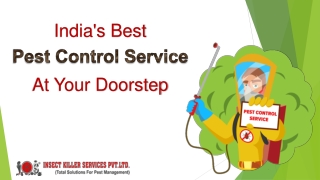 Get Rid Of All Kinds Of Pest - Insect Killer Services Pvt Ltd