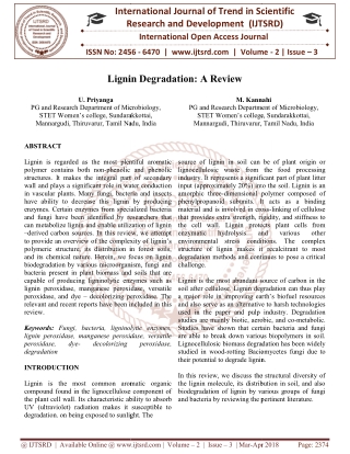 Lignin Degradation A Review