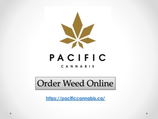 Order Weed Online - pacificcannabis.ca