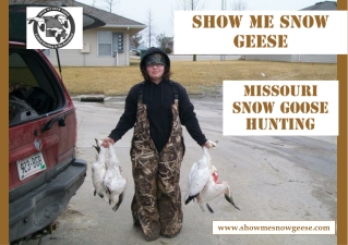 Missouri Snow Goose Hunting