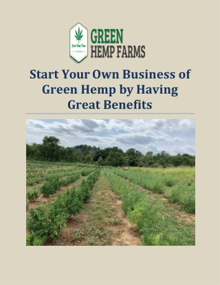 Start Your Own Business of Green Hemp by Having Great Benefits