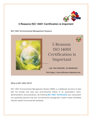 5 Reasons ISO 14001 Certification is Important