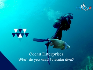 What do you need to scuba dive?  | Ocean Enterprises