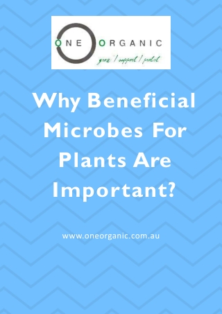 What Is The Major Role Of Beneficial Microbes For Plants?