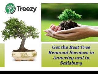 Get the Best Tree Removal Services in Annerley and in Salisbury