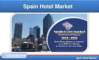 Spain Hotel Market, Numbers & Forecast by Type (2019 - 2025)