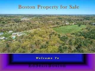 Boston Property for Sale