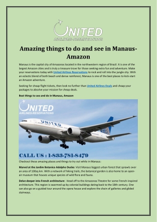Amazing things to do and see in Manaus-Amazon