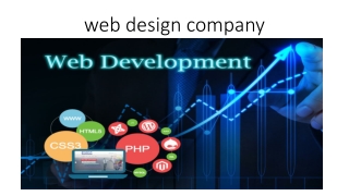 web application development usa