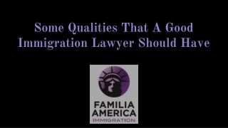 Some Qualities That A Good Immigration Lawyer Should Have