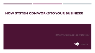 System CDN for Business | BelugaCDN Solutions