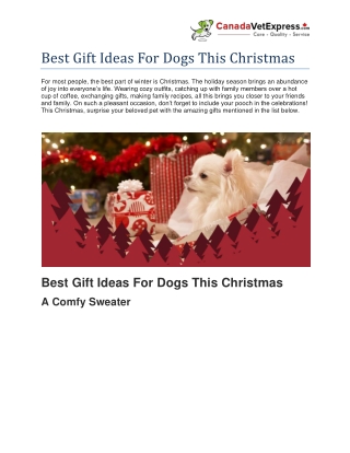 Best Gift Ideas For Dogs This Christmas- CanadaVetExpress