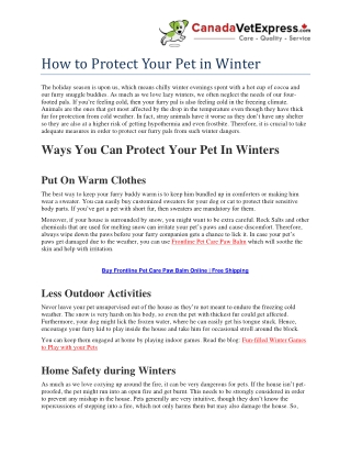 How to Protect Your Pet in Winters- CanadaVetExpress