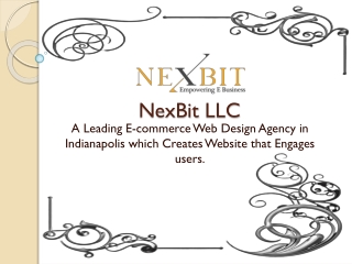 Perfect and Productive E-commerce Web Design Company in Indianapolis | NexBit