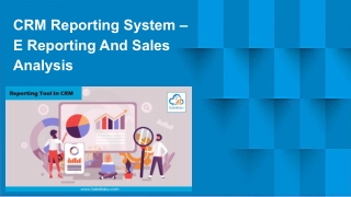 CRM Reporting System – E Reporting And Sales Analysis