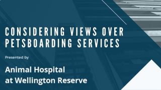 Considering Views Over Pets Boarding Services