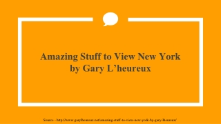 Amazing Stuff to View New York by Gary L’heureux