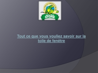 Tout ce que vous vouliez savoir sur la toile de fenêtre