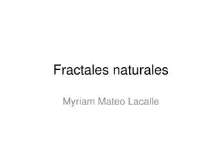 Fractales naturales