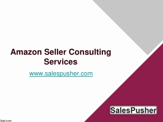 Amazon Seller Consulting Services - www.salespusher.com
