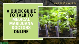 A Guide to Talk to Medical Marijuana Doctors Online