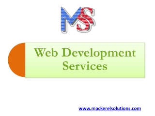 Web Development Services