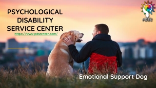 Emotional Support Dog