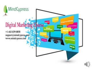 Digital marketing Certification training, Is digital marketing training useful? MindCypress