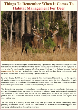 Things To Remember When It Comes To Habitat Management For Deer