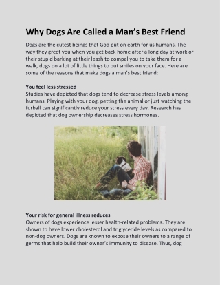 Why Dogs Are Called a Man’s Best Friend