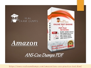 Valid ANS-C00 Practice Test - Amazon ANS-C00 Online Test Engine RealExamDumps.com