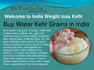 Where to Buy Water Kefir Grains in India