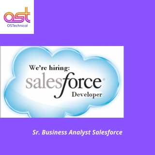 Sr. Business Analyst Salesforce