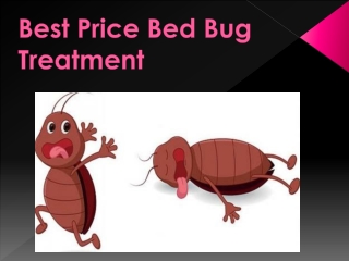 Most effective bed bug treatment for you