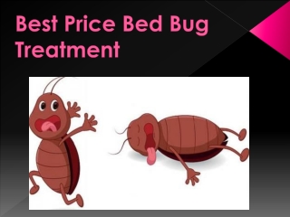 Best services for bed bug treatment in Chicago