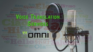 Voice Translation Services