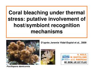 Coral bleaching under thermal stress: putative involvement of host/symbiont recognition mechanisms