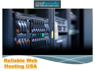 Reliable Web Hosting USA
