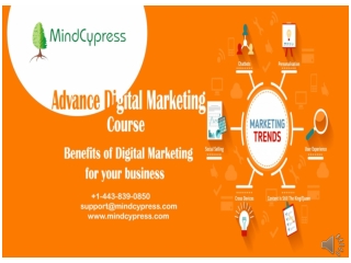 Online)) Digital marketing Certification Training ,What are the benefits of Digital Marketing Services?  MindCypress