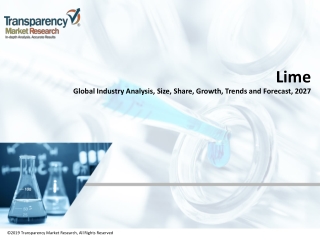 Lime Market Volume Forecast and Value Chain Analysis 2027