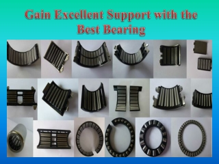 Gain Excellent Support with the Best Bearing