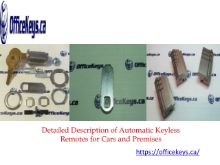 Detailed Description of Automatic Keyless Remotes for Cars and Premises