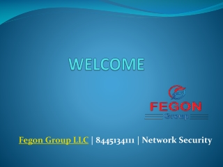 Fegon Group - Network Internet Security - 8445134111