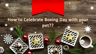 How to Celebrate Boxing Day the Right Way with Your Pets?