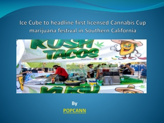 Ice Cube to headline first licensed Cannabis Cup marijuana festival in Southern California
