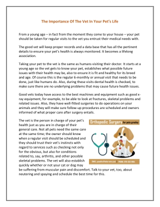 The Importance Of The Vet In Your Pet’s Life