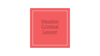 Top Houston criminal lawyer