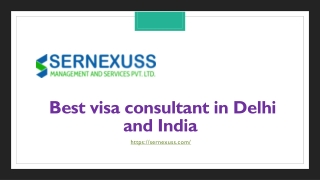 Best visa consultant in Delhi and India